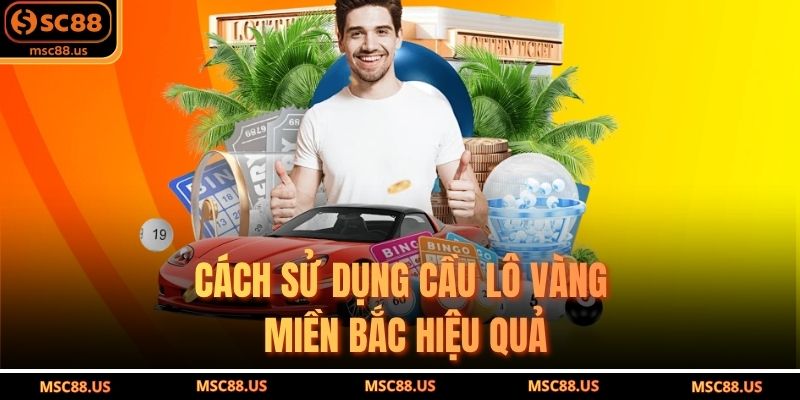 Cách sử dụng cầu lô vàng miền Bắc hiệu quả